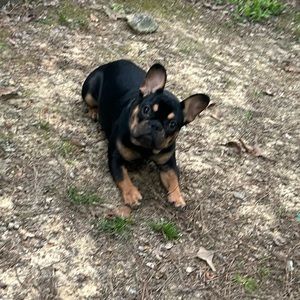 Meet your Posher, Jermaine